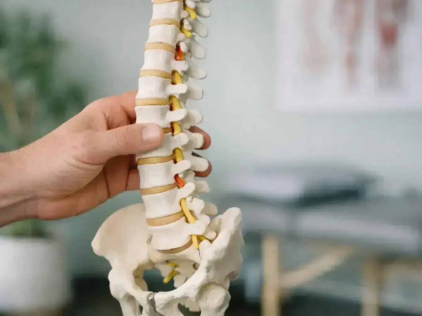 Myofascial Release Meaning — in action